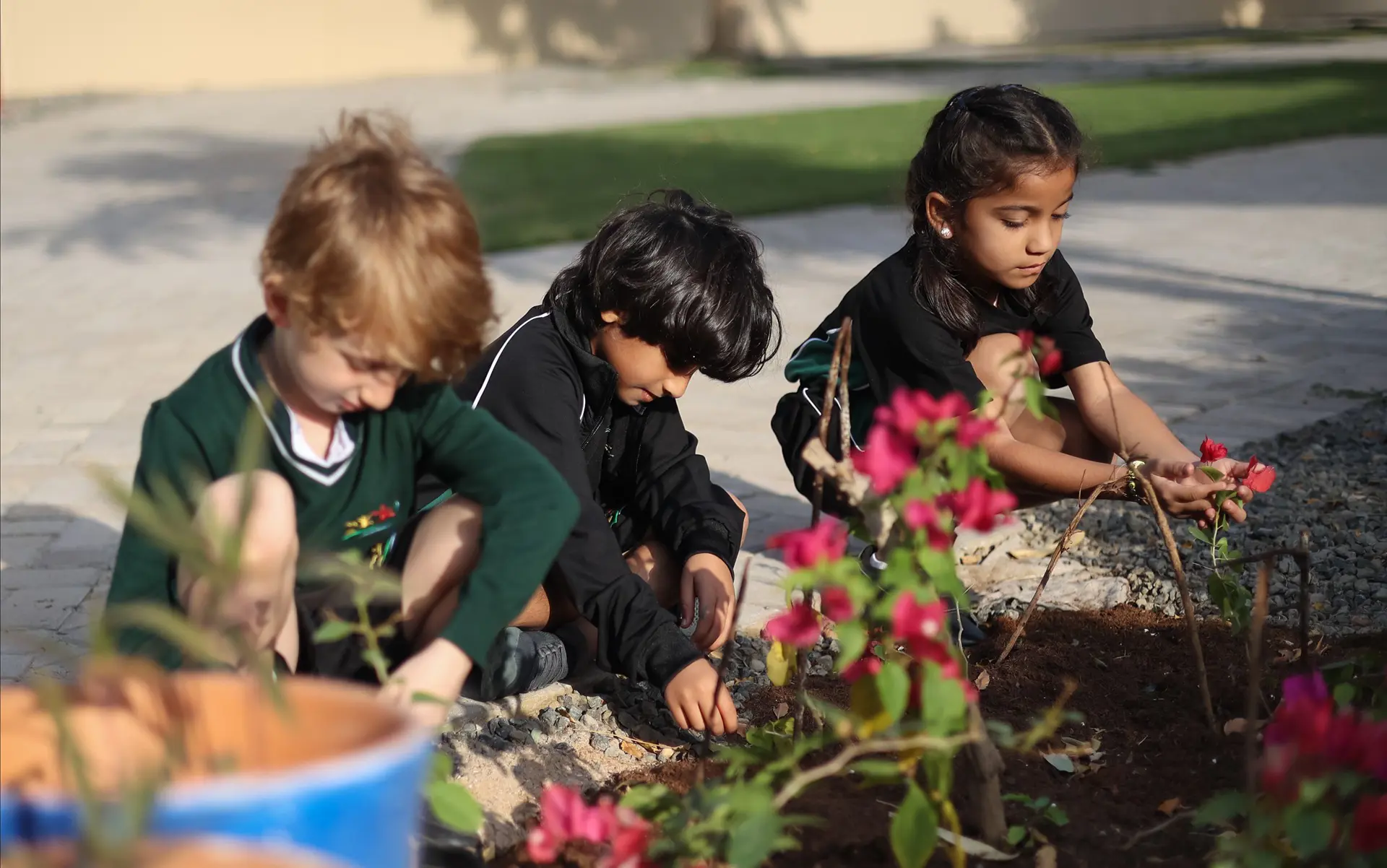 Students tending to school garden