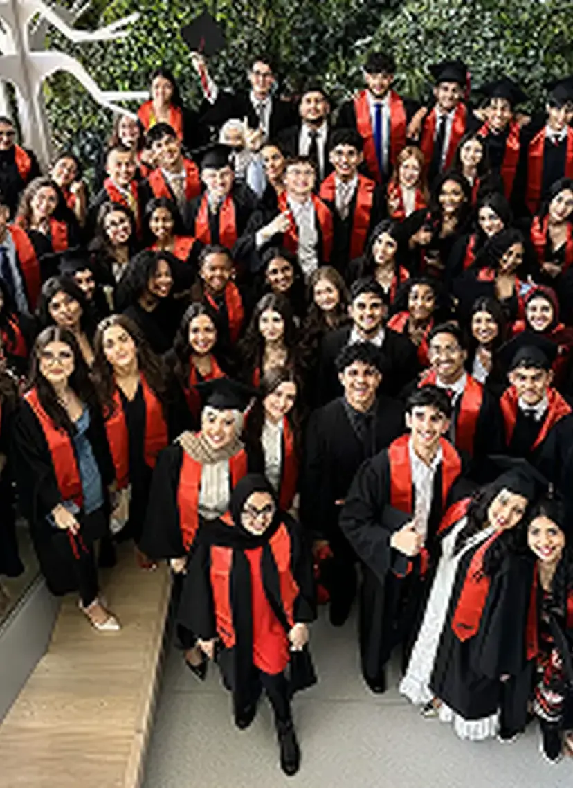 DIS Graduates